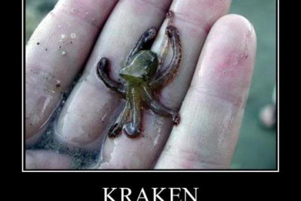 Kraken onion вход