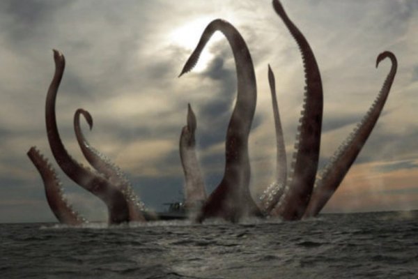 Kraken даркнет рынок